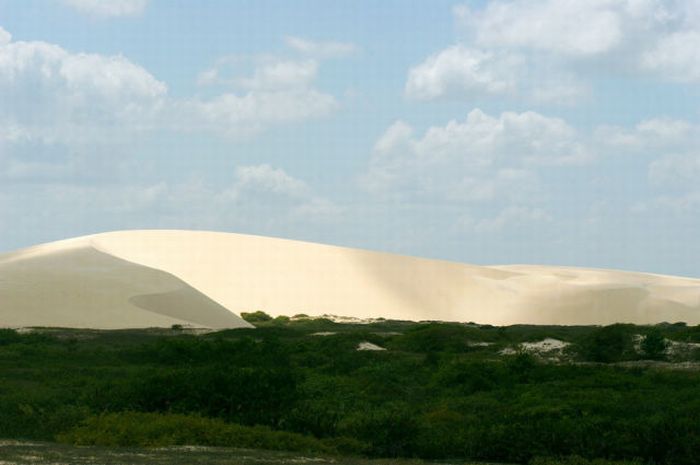 Оазис в пустелі (22 фото)