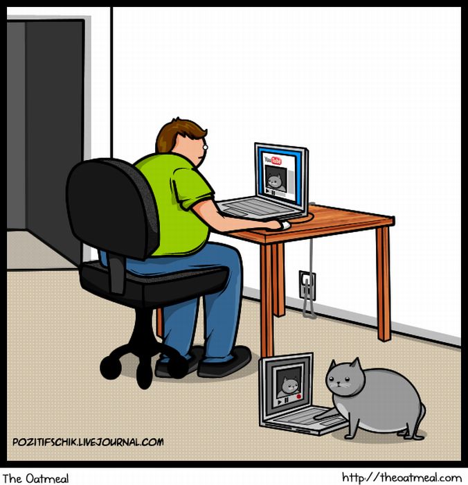 Кіт vs. Інтернет (21 картинка)
