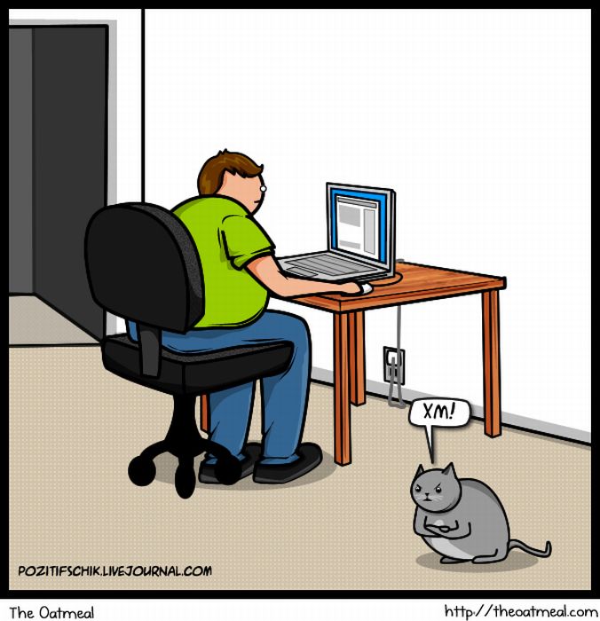 Кіт vs. Інтернет (21 картинка)