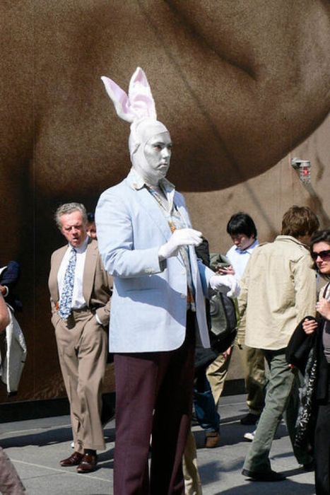 В костюмі кролика (34 фото)