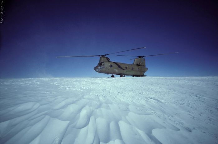Військові вертольоти (99 фото)