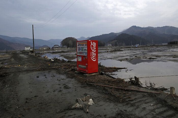 Японія місяць після катастрофи (85 фото)