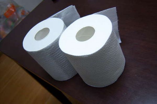 Першоквітневий туалетний папір (15 фото)