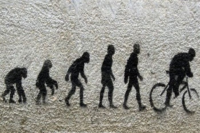 Еволюція людини (16 фото)