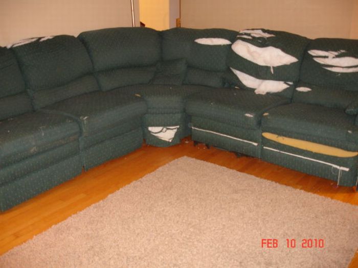 Потворні дивани (28 фото)