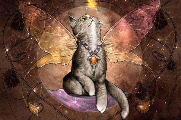 Коты и мистика. 7 интересных фактов о кошках загадки
