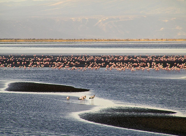 Озеро Натрон — самое горячее озеро планеты авиатур