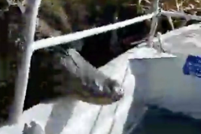 Крокодил из болота запрыгнул в лодку к туристам Видео