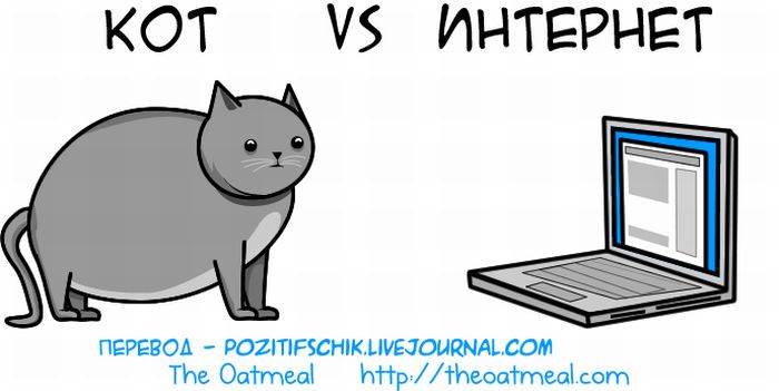 Кіт vs. Інтернет (21 картинка)