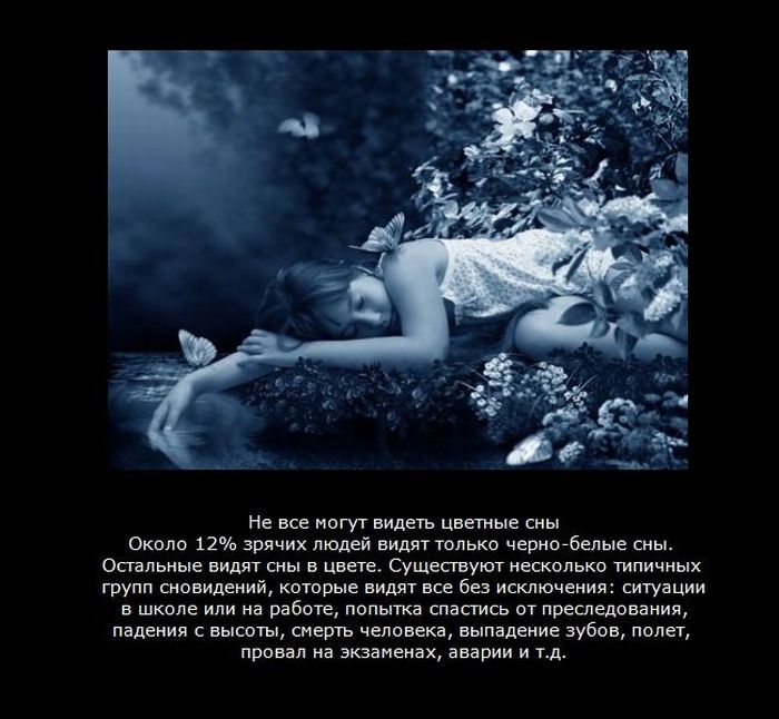 Факти про сон (9 фото)
