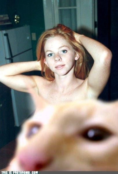 Фотобомбы. Частина 10 (79 фото)