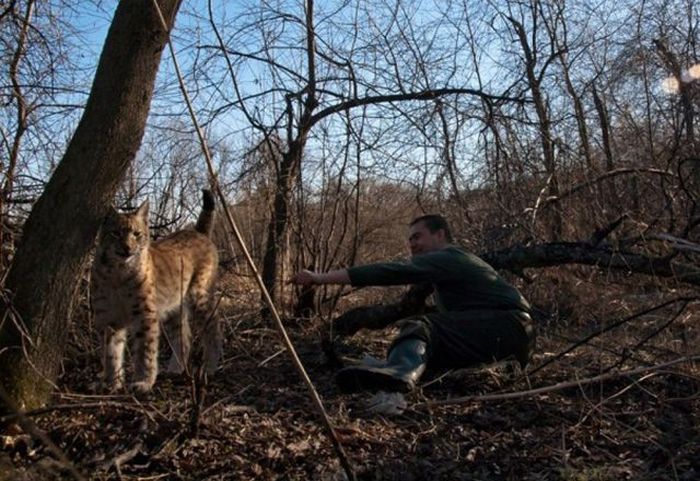 Нежданий гість (10 фото)