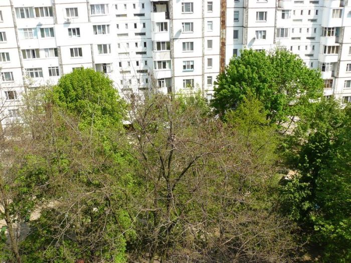 Цікавий сусід оселився у дворі (5 фото)