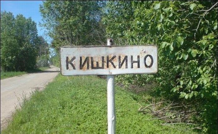 Смішні знаки і покажчики (26 фото)