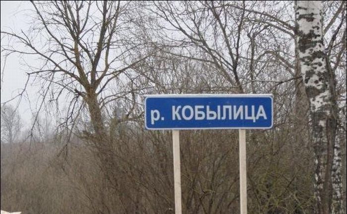 Смішні знаки і покажчики (26 фото)
