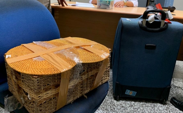 На Бали задержали гражданина РФ, который пытался провезти орангутана в багаже. МиР