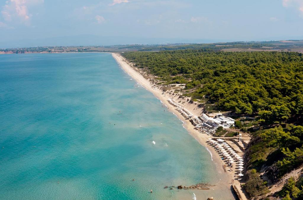 Sani Beach 5* : описание номеров, сервис, отзывы путешествия, путешествие и отдых