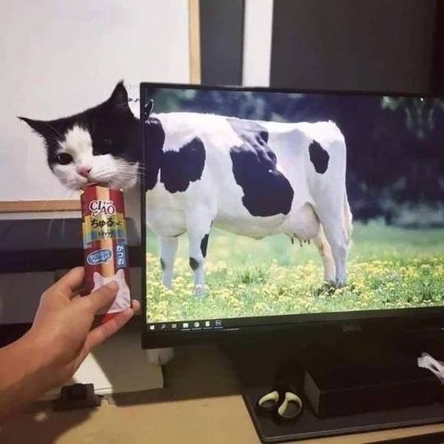 Что-то тут не то... 