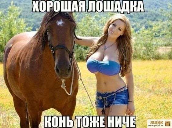 В спортбаре Махачкалы об телевизор, висящий на стене, разбились 50 дагестанцев… юмор, приколы,, Юмор