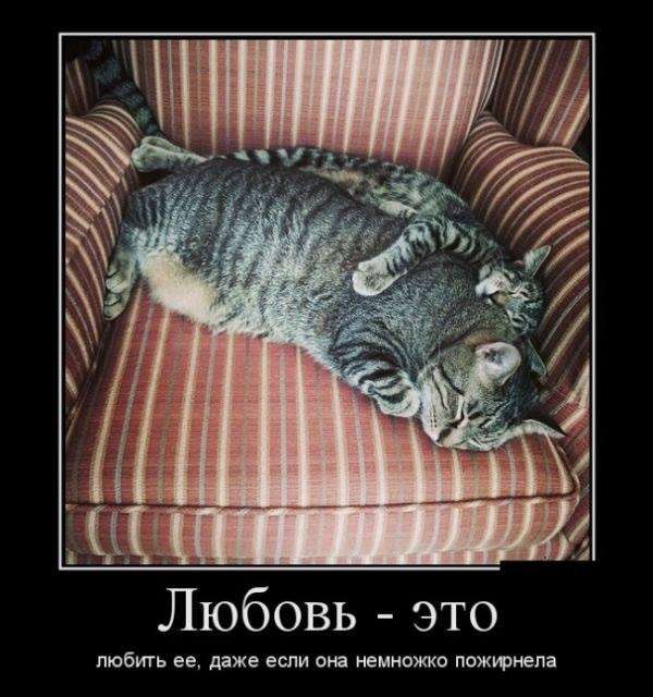 — Эти лодыри совсем оборзели – не хотят работать после 60-ти… юмор, приколы,, Юмор