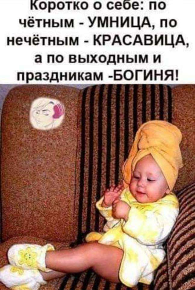— Эти лодыри совсем оборзели – не хотят работать после 60-ти… юмор, приколы,, Юмор