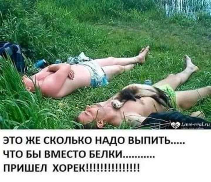 — Эти лодыри совсем оборзели – не хотят работать после 60-ти… юмор, приколы,, Юмор