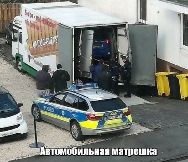 Слона на ходу остановит и хобот ему оторвет! веселые картинки