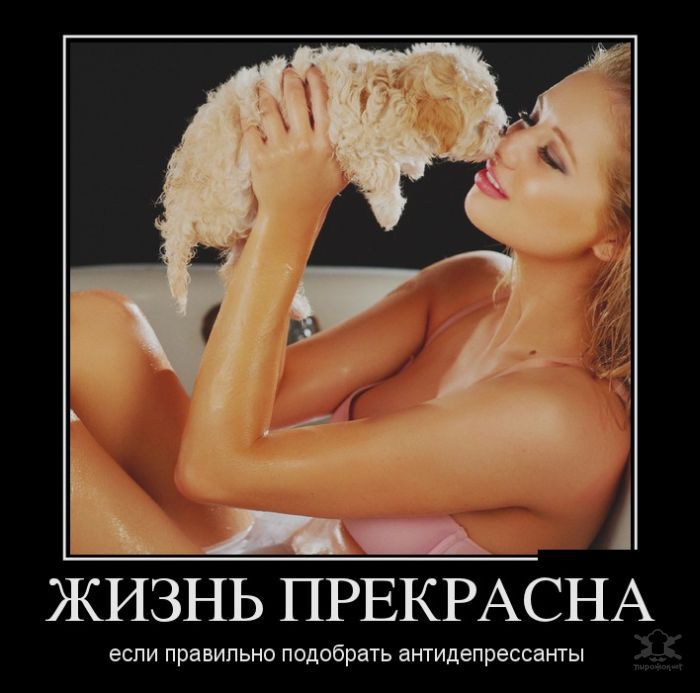 Прикольные и веселые демотиваторы для настроения 