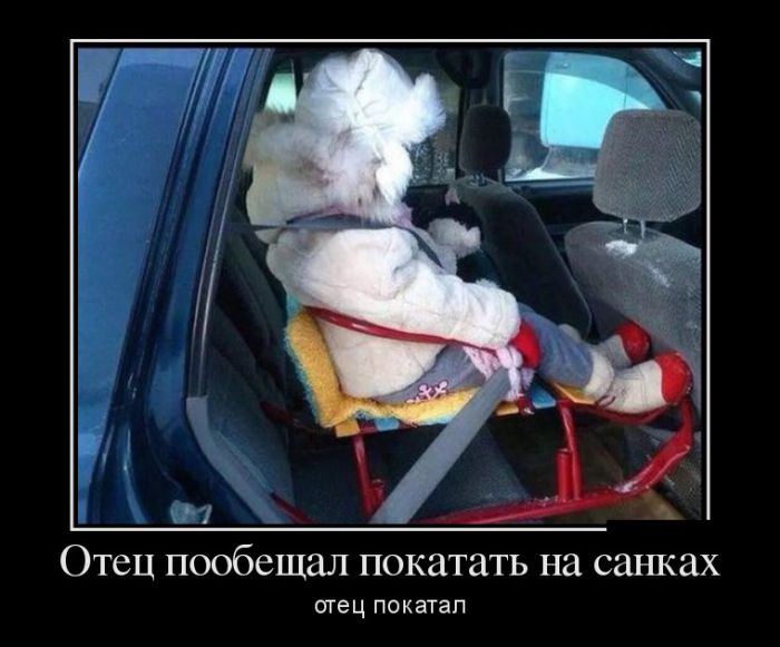 Прикольные и веселые демотиваторы для настроения 