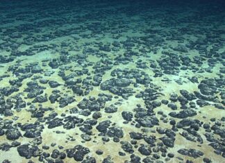 Wasserstoffgewinnung: Ein möglicher Weg zu einem umweltfreundlicheren Tiefseebergbau?