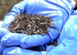 Нова технологія штучного інтелекту може допомогти в криміналістичному аналізі насильницьких злочинів