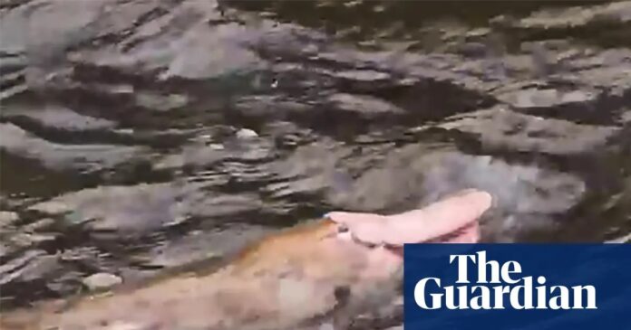 1b7c084d-7190-4137-ac30-4b7208a004ae