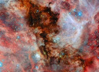 Hubble Menangkap Kelahiran Bintang di Galaksi Tetangga