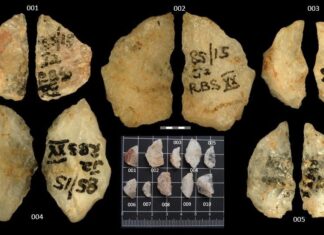 60.000 jaar oude gifpijlen: oudste bewijs van giftige wapens