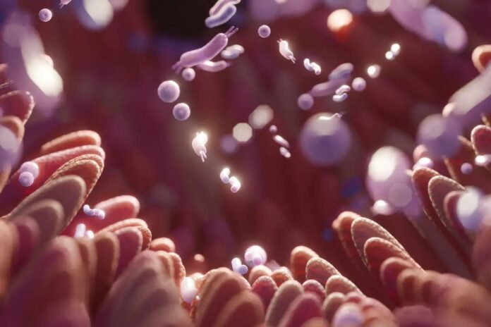 ae522961-d20a-486a-9bf6-e545d68e87ee