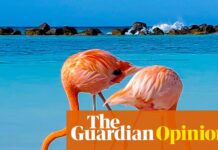 Дев’ять наукових проривів, необхідних у 2026 році: від наслідуючих мелодій до гусей