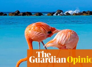 Nine Scientific Breakthroughs Needed in 2026: From Earworms to Geese