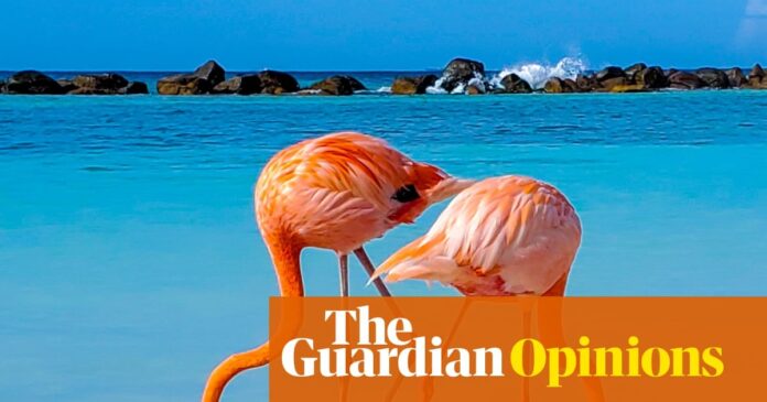 f529819c-e269-4502-8674-87c900003d4d