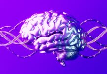 Зв’язок між накопиченням ферменту та білка при хворобі Альцгеймера