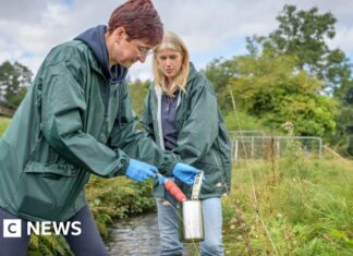 Reino Unido intensificará las pruebas ‘Forever Chemical’ a medida que aumentan las preocupaciones sobre la salud