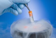 Kryobiologie: Základní definice