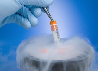 Biologia criogenica: definizioni essenziali