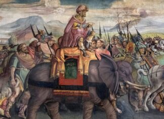 Hannibals Kriegselefanten bestätigt: Uralter Knochen bringt neue Beweise zu Tage