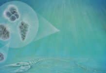 Життя відновилося швидше після динозаврів, ніж вважалося раніше