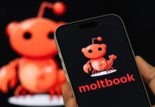 Штучний інтелект і його тривожна нова соціальна мережа: більше шуму, ніж загрози?