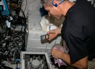 Funghi e batteri estraggono metalli nello spazio: un passo verso l’estrazione degli asteroidi