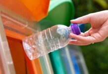 Du plastique aux médicaments contre la maladie de Parkinson : des scientifiques transforment les déchets en médicaments