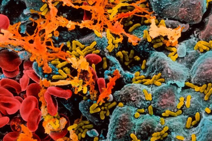 29c2e862-364e-42d8-b126-5c90032f633b