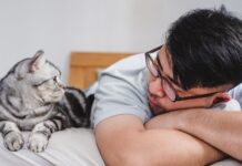 The Unexpected Parasitism of Cats: A Rethinking of Human-Animal Relationships