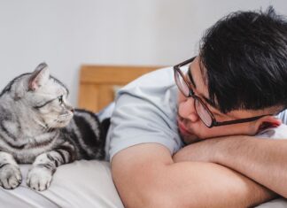 Le parasitisme inattendu des chats : repenser les relations homme-animal